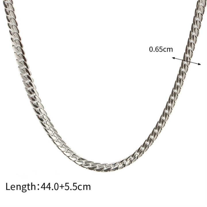 Simple snake bone chain titanium steel necklace female niche design high-end 18k gold Internet celebrity with hip-hop style jewelry Glossy.pk