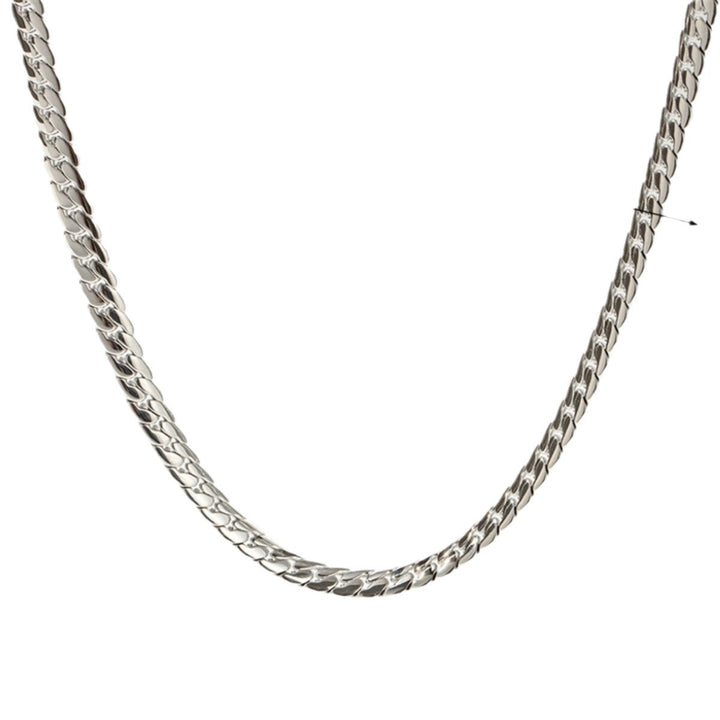Simple snake bone chain titanium steel necklace female niche design high-end 18k gold Internet celebrity with hip-hop style jewelry Glossy.pk