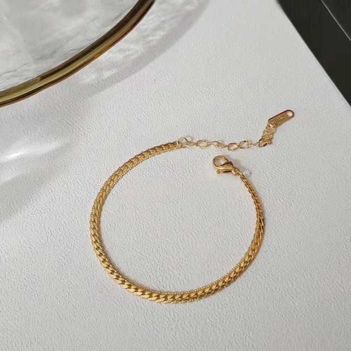 Simple snake bone chain titanium steel necklace female niche design high-end 18k gold Internet celebrity with hip-hop style jewelry Glossy.pk