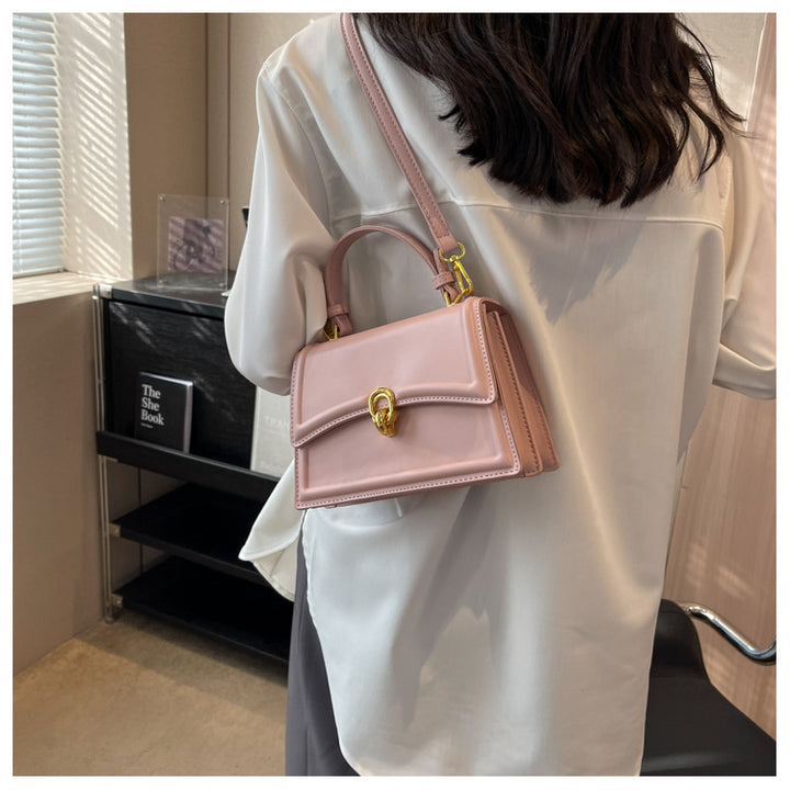 2024 Spring Niche Textured Small Crossbody Bag - Stylish Handheld Square Bag Glossy.pk