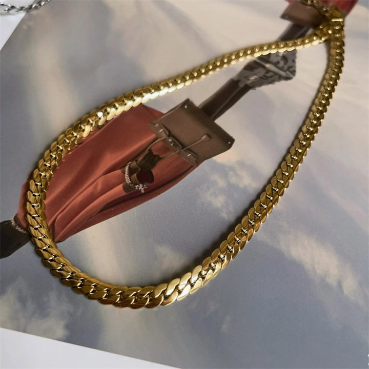 Simple snake bone chain titanium steel necklace female niche design high-end 18k gold Internet celebrity with hip-hop style jewelry Glossy.pk