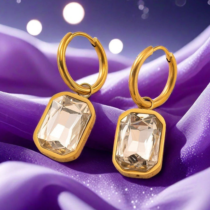 French retro earrings high-end non-fading titanium steel haoshi earrings women's personality European and American earrings jewelry wholesale Glossy.pk