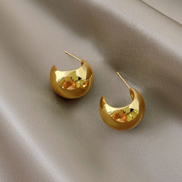 C-shaped Semi-Round Earrings — Gold & Steel Colours product photo 4 | Glossy.pk Pakistan