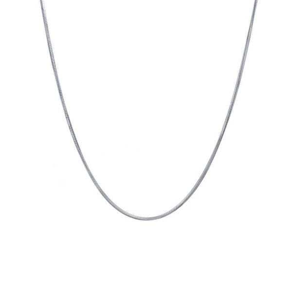 Round Snake Chain Necklace (Vacuum-Plated) product photo 4 | Glossy.pk Pakistan