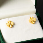 French retro earrings high-end non-fading titanium steel haoshi earrings women's personality European and American earrings jewelry wholesale Glossy.pk