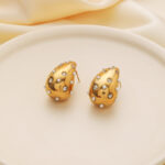 French retro earrings high-end non-fading titanium steel haoshi earrings women's personality European and American earrings jewelry wholesale Glossy.pk