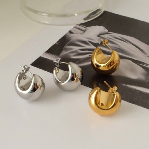 C-shaped Semi-Round Earrings — Gold & Steel Colours product photo 2 | Glossy.pk Pakistan