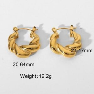 Twisted stainless-steel earrings