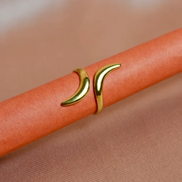 Adjustable Layered Ring — Gold Plated Stainless Steel product photo 3 | Glossy.pk Pakistan