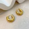 Stainless Steel New Design Earrings (Variant) product photo 3 | Glossy.pk Pakistan