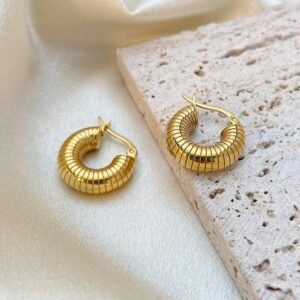 Stainless Steel New Design Earrings (Variant)