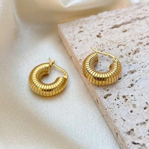 Stainless Steel New Design Earrings (Variant) — jewellery from Glossy.pk, Pakistan