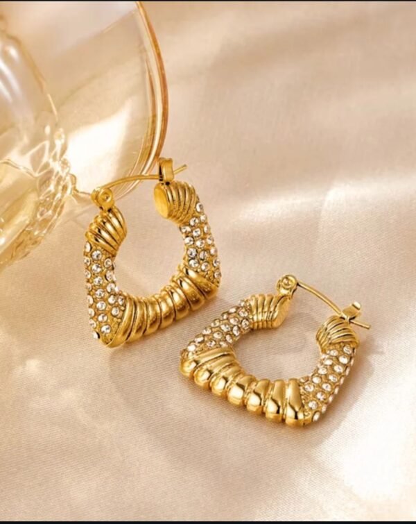 Stainless Steel Earrings product photo 2 | Glossy.pk Pakistan