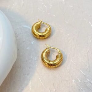 Stainless Steel New Design Earrings (Variant) product photo 4 | Glossy.pk Pakistan