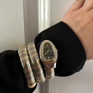 Two-Tone Serpent-Style Watch — Black Dial