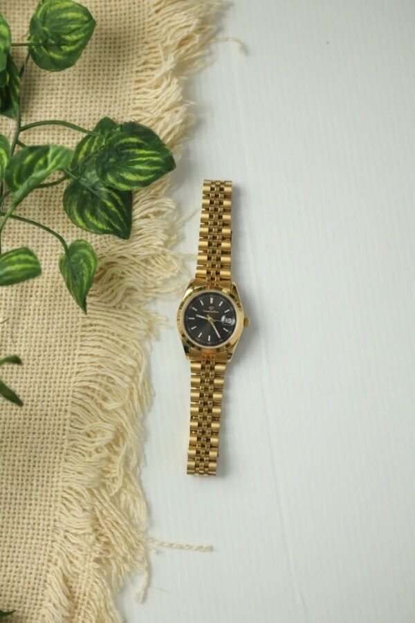Diamond Blue Gold Watch-Black Dial